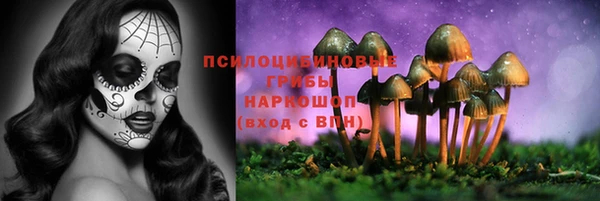 Альфа ПВП Армянск