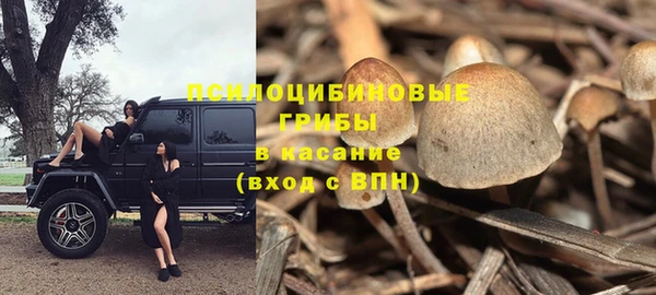 метадон Аркадак