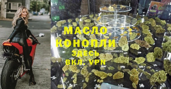 молекула духа Переславль-Залесский